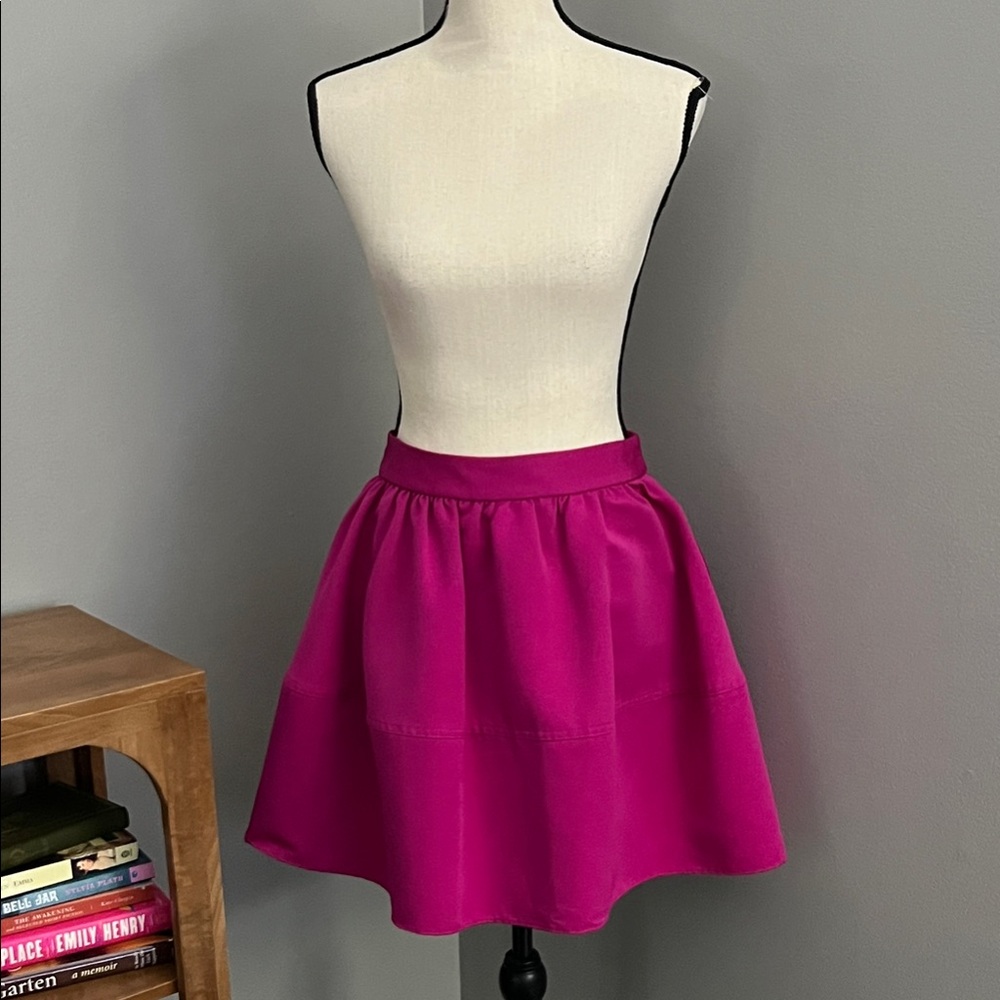 EXPRESS Pink Women's Skirt